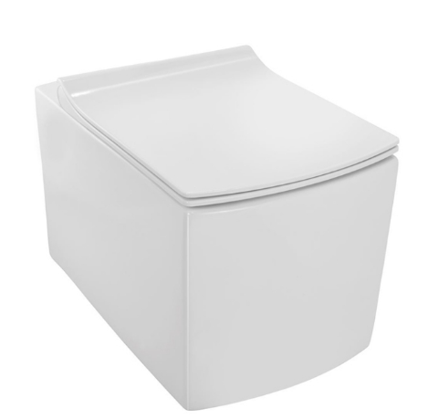 Rimless, Blind Installation Wall Hung WC