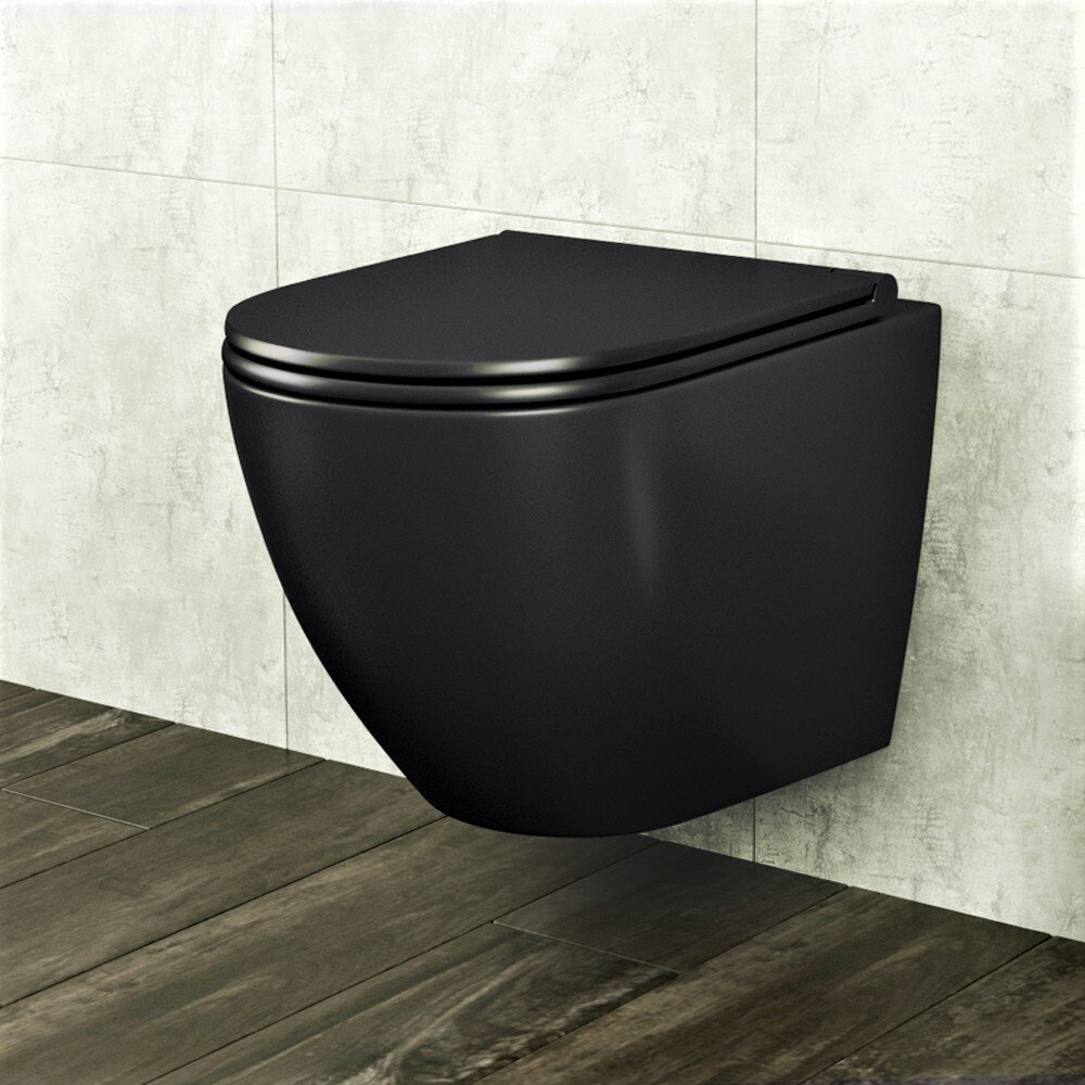 Rimless, Blind Installation Wall Hung WC