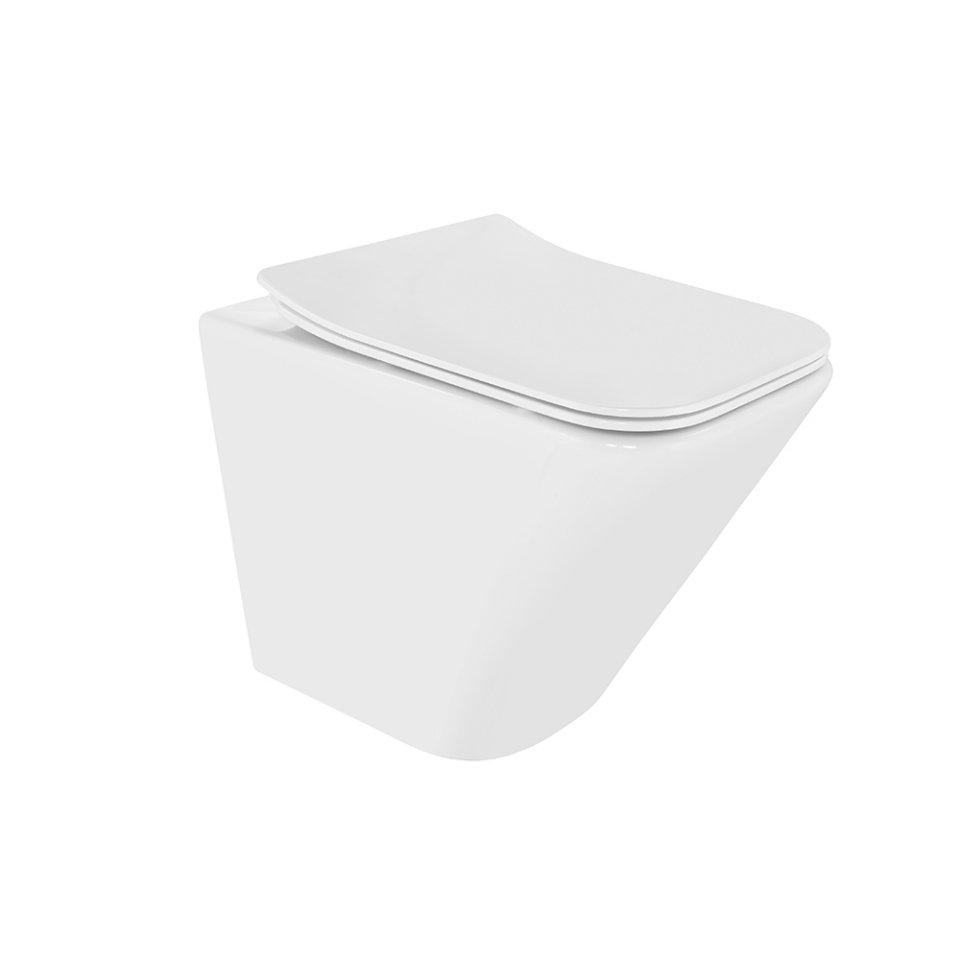 Rimless blind installation wall hung WC with UF